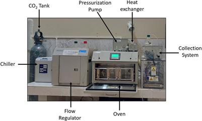 Optimization of extraction in supercritical fluids in obtaining Pouteria lucuma seed oil by response surface methodology and artificial neuronal network coupled with a genetic algorithm